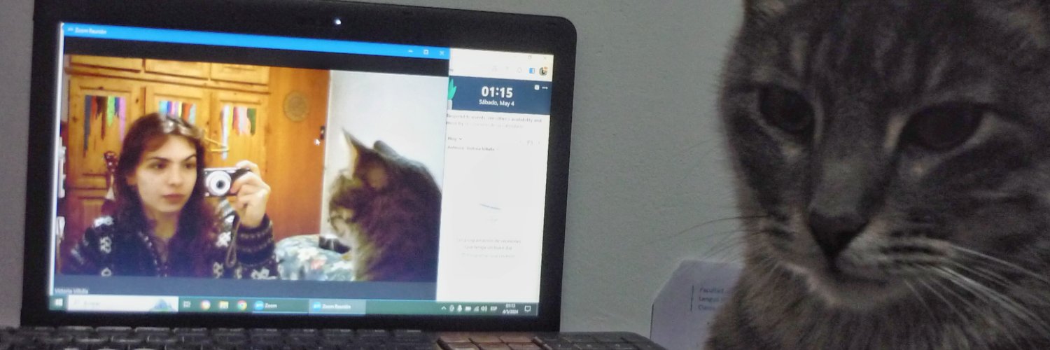 villulla's profile banner image