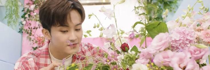 Lovehanal's profile banner image