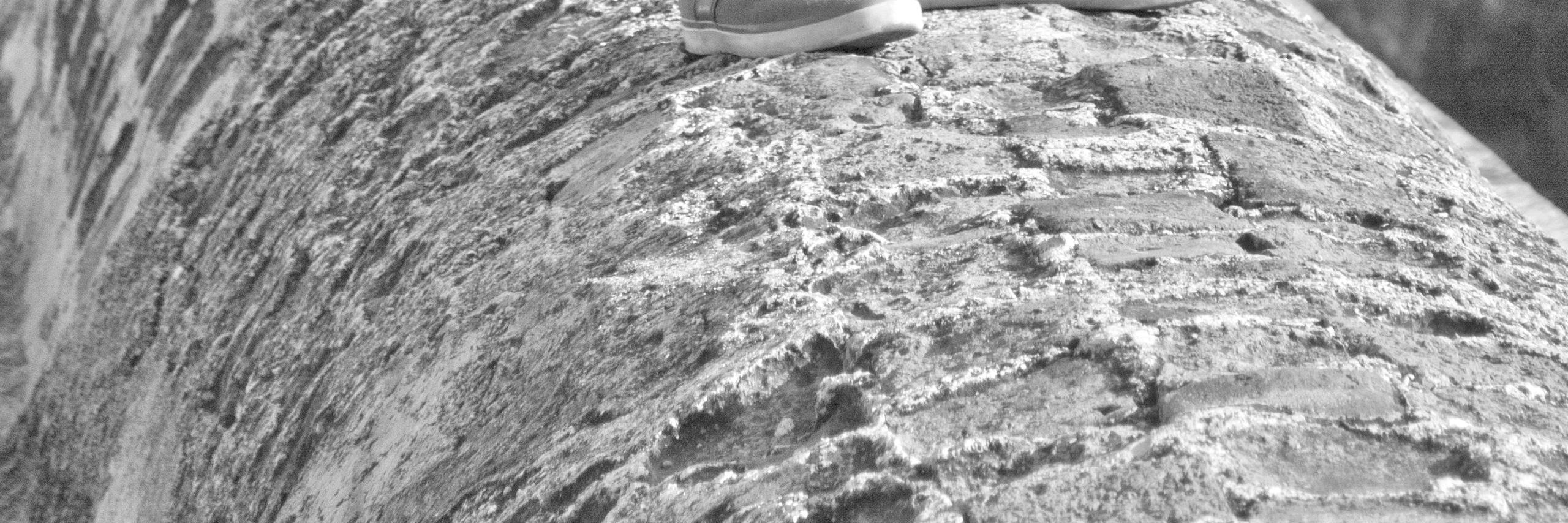 Juan Pablo García banner