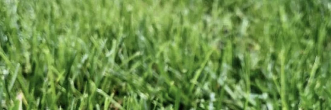 lil f banner