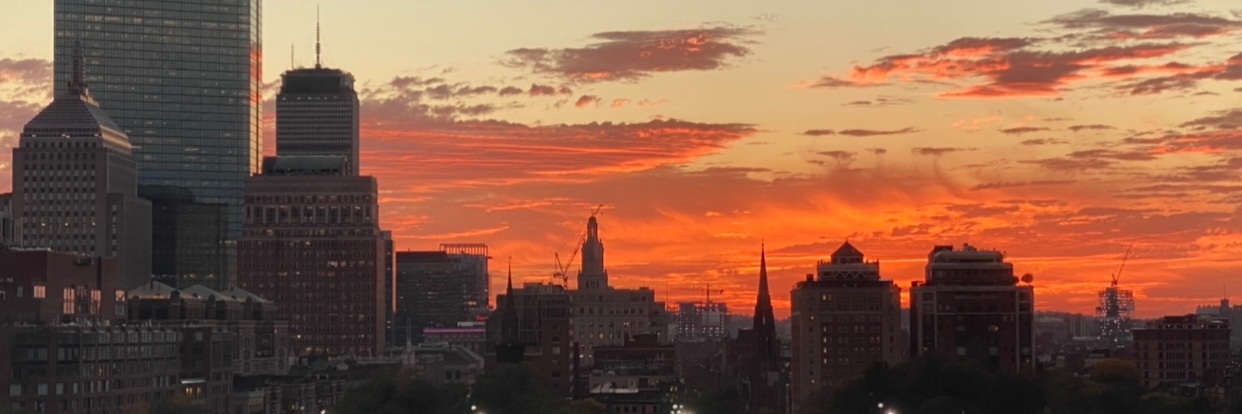 Azadeh Tabari banner