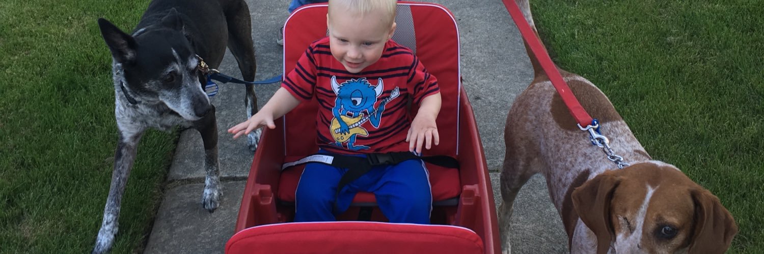 Elizabeth Ecenbarger banner