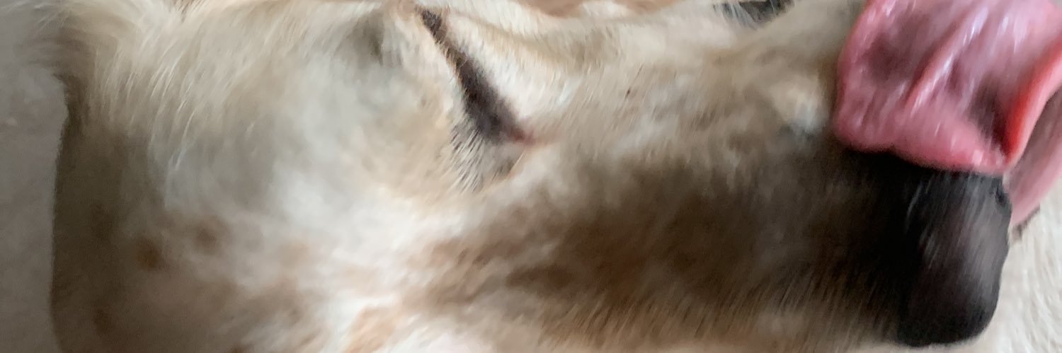 anthonya3c's profile banner image