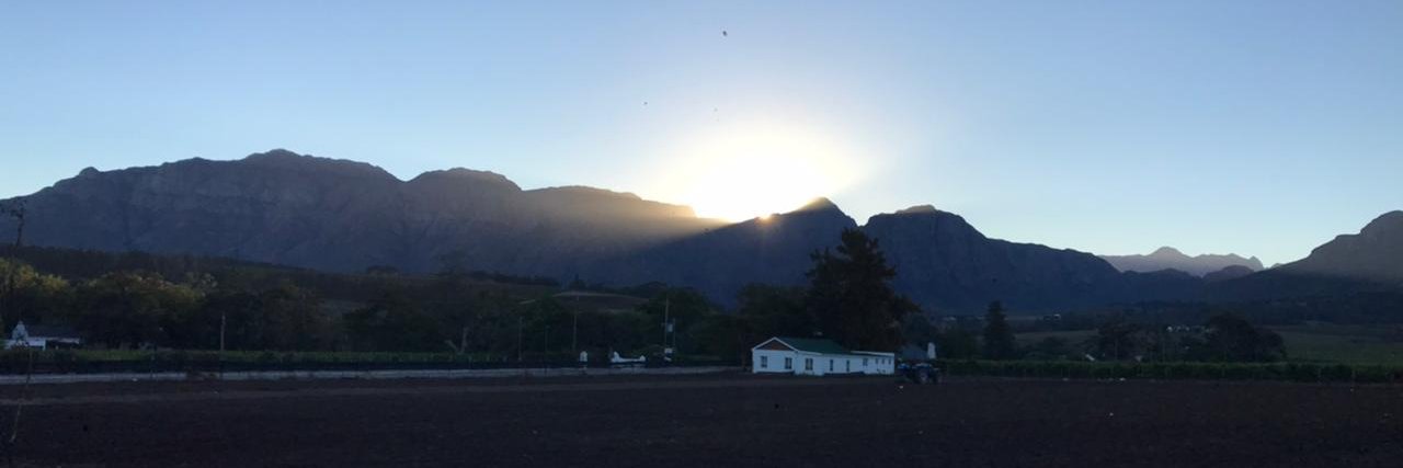 Marius Avenant banner