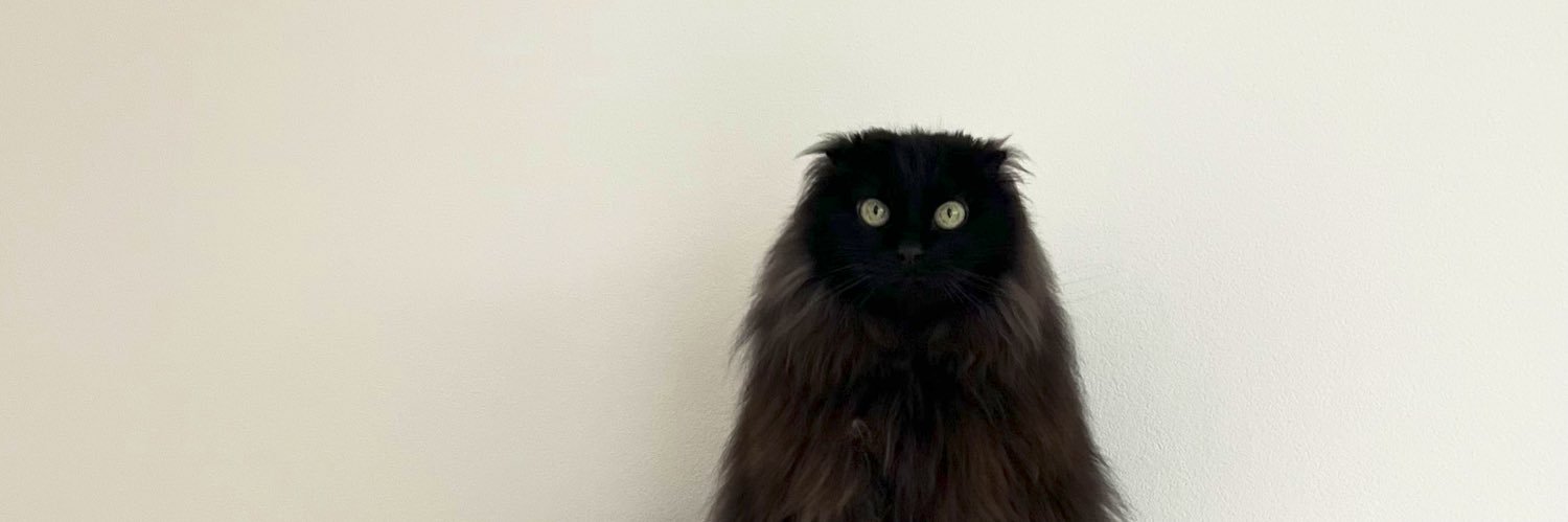 ねこさん🦉元保護猫フクロウ's banner