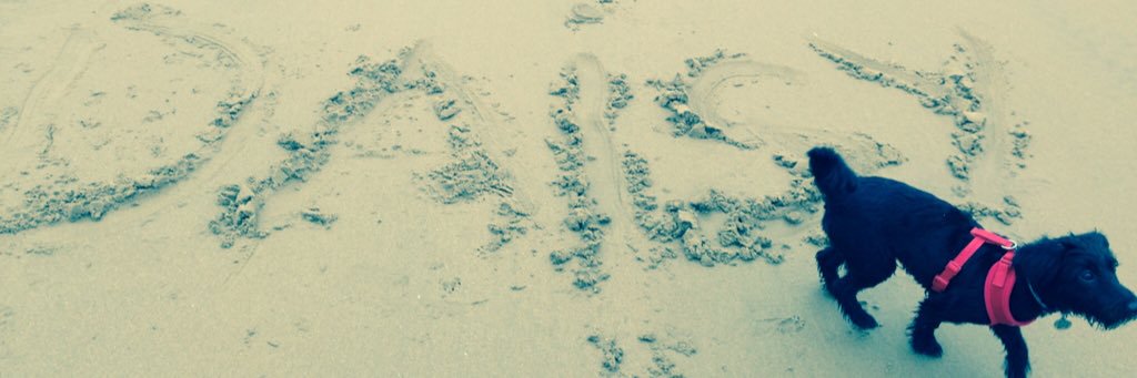 Day_Zee_Dog's profile banner image