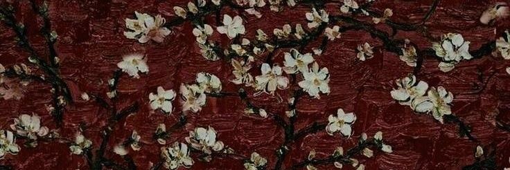 cocoocherie's profile banner image