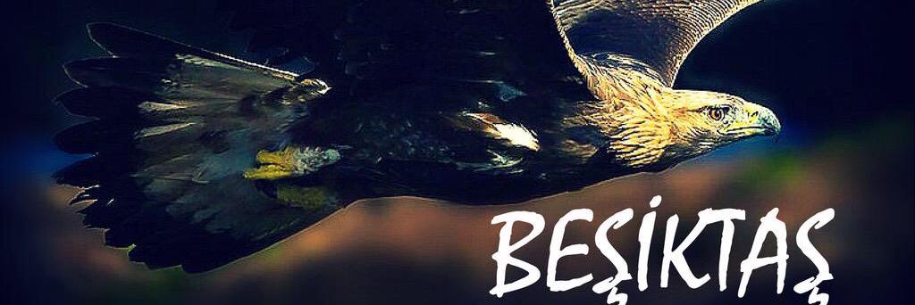 mesutasut's profile banner image