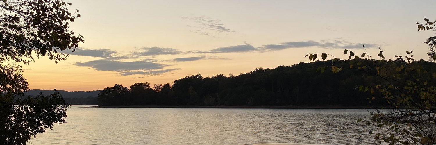 annonyleen's profile banner image
