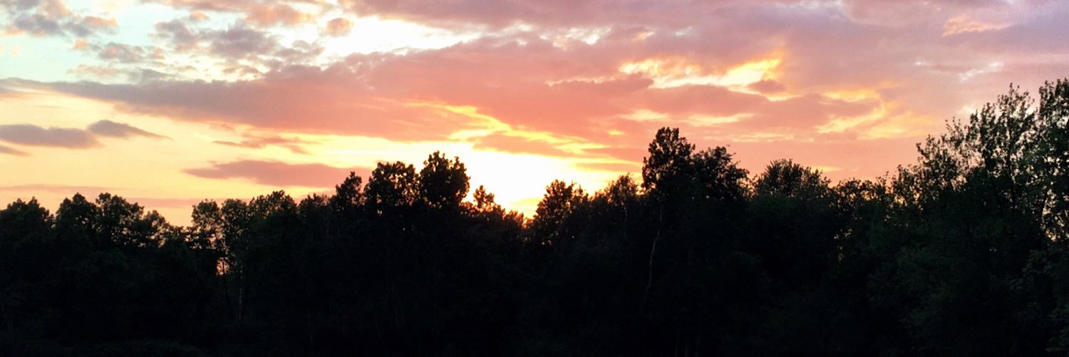 pszNicx's profile banner image
