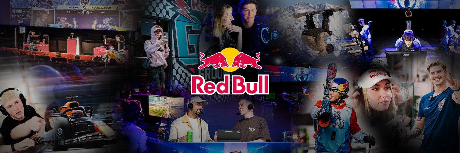 Red Bull Austria banner