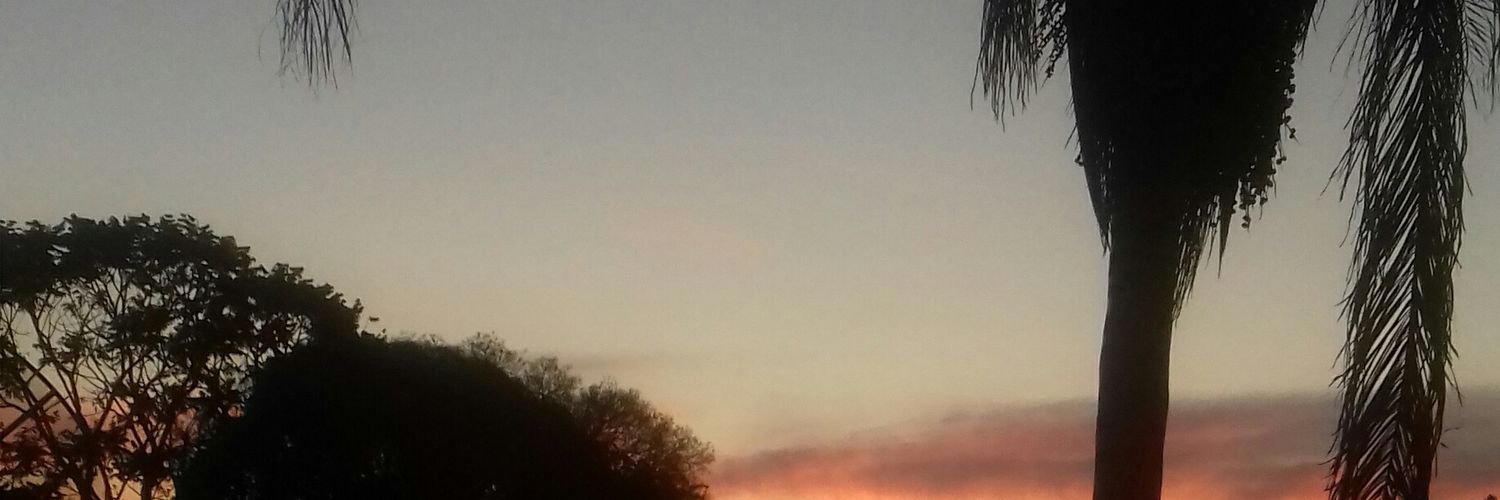 leennyn's profile banner image