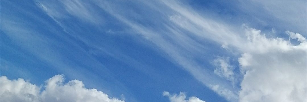 NonsonNely's profile banner image