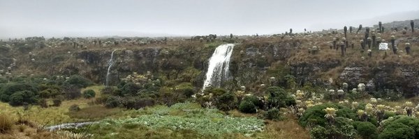 Laputada Profile Banner
