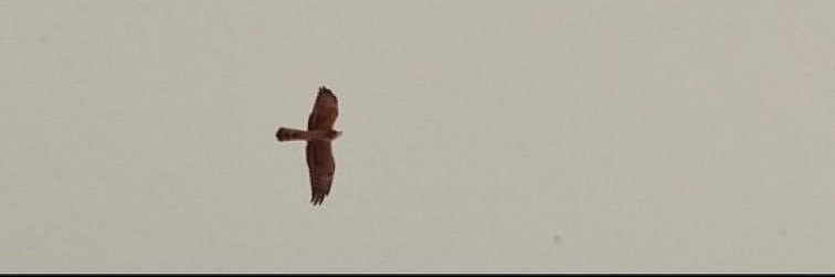 يُسرى banner