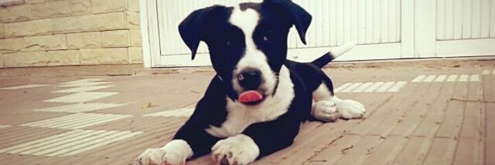 fabbro_7's profile banner image