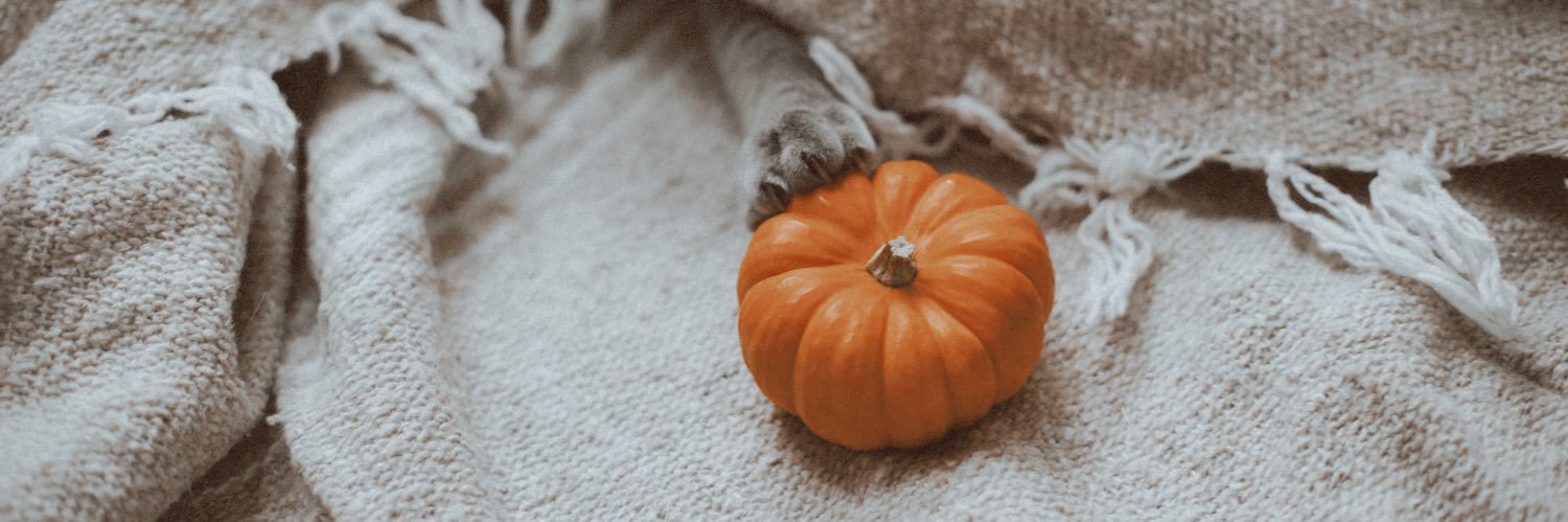 katrinebratts's profile banner image