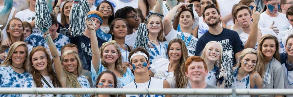 Hornet Hooligans™ banner