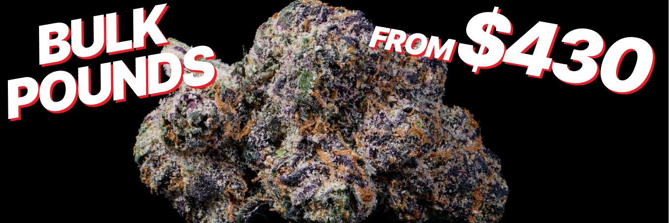 Lost In Translation banner