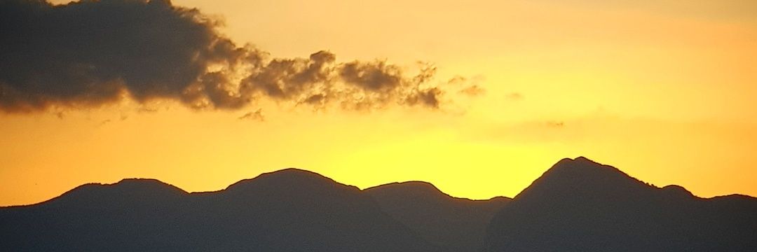 canerceren's profile banner image