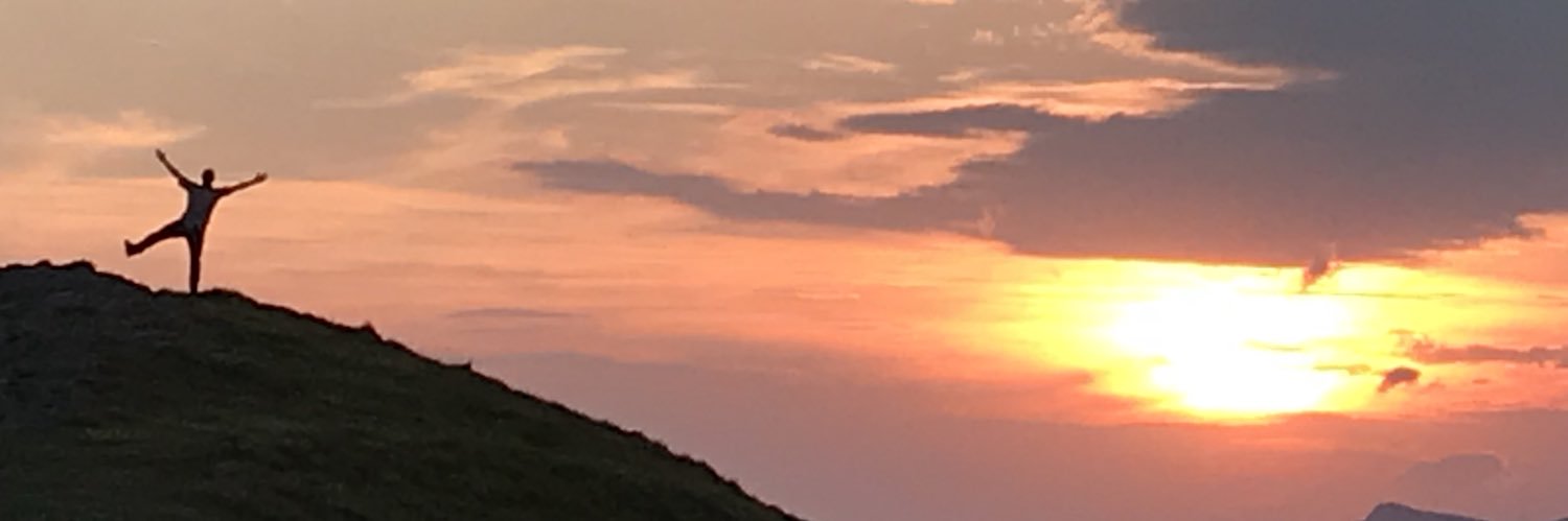 Nicola Sandoli banner