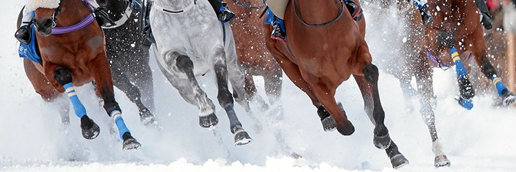 Institute for Medical Translation New Bolton Ctr banner