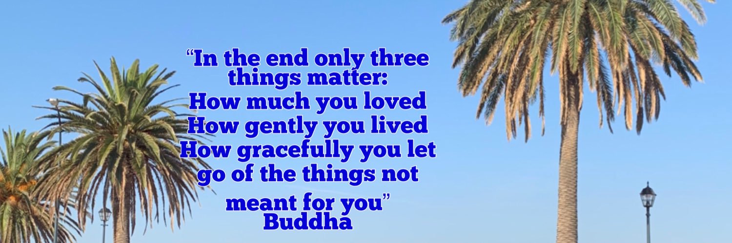 Dorothy Not a Quiet Granny #BeKind 💉 banner