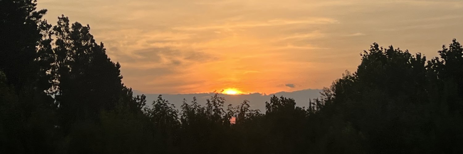 Chase Morgan ✘ banner