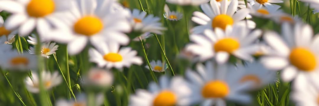 _tulaaay's profile banner image