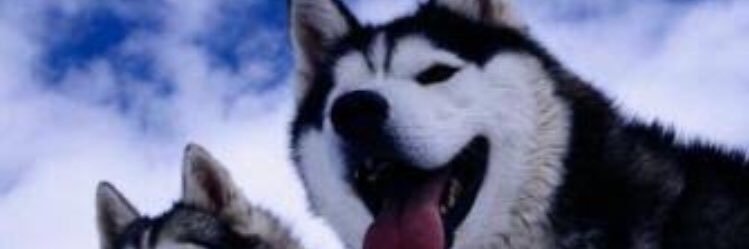 sseelldaa's profile banner image