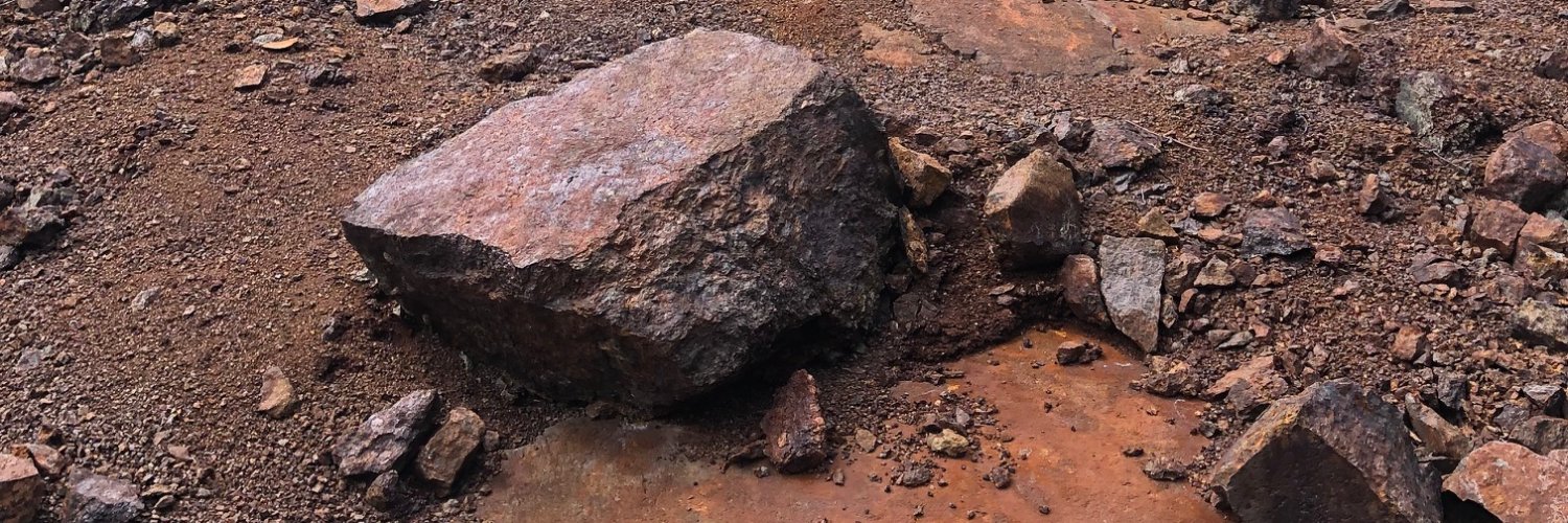 Steadright Critical Minerals Inc. banner