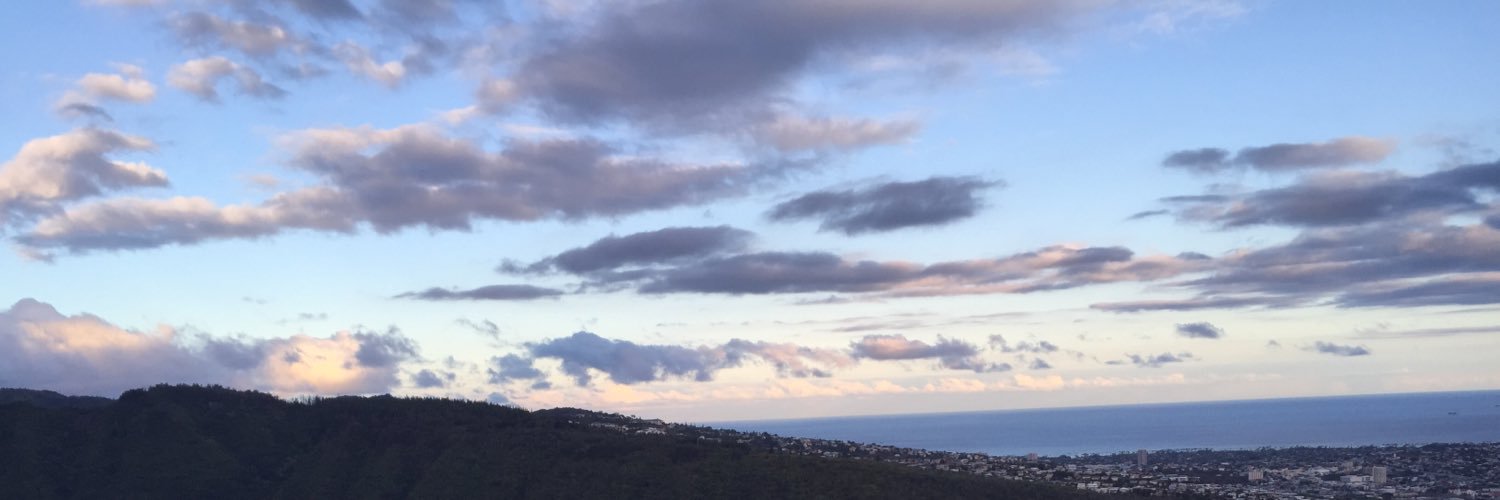 savschwenn's profile banner image