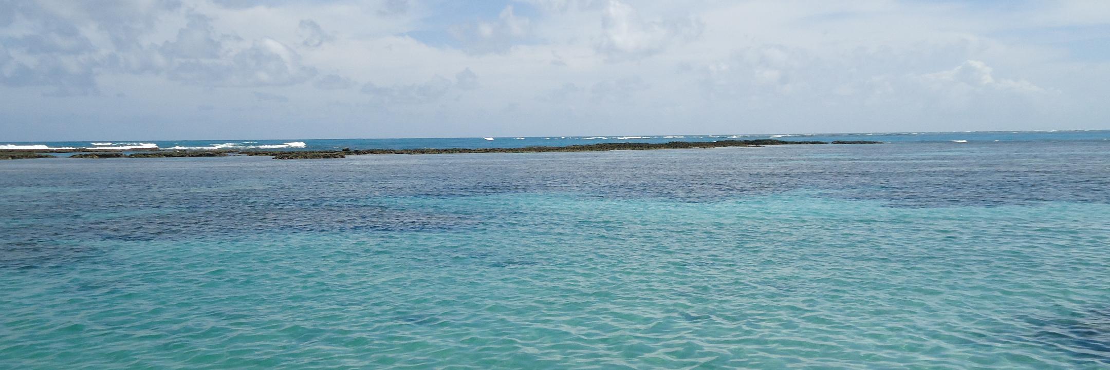 grazirodrigues's profile banner image