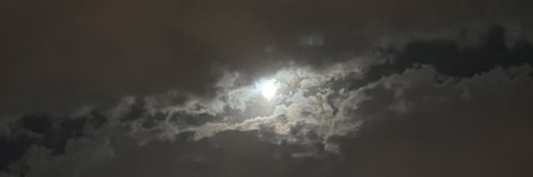 pishimaows Profile Banner
