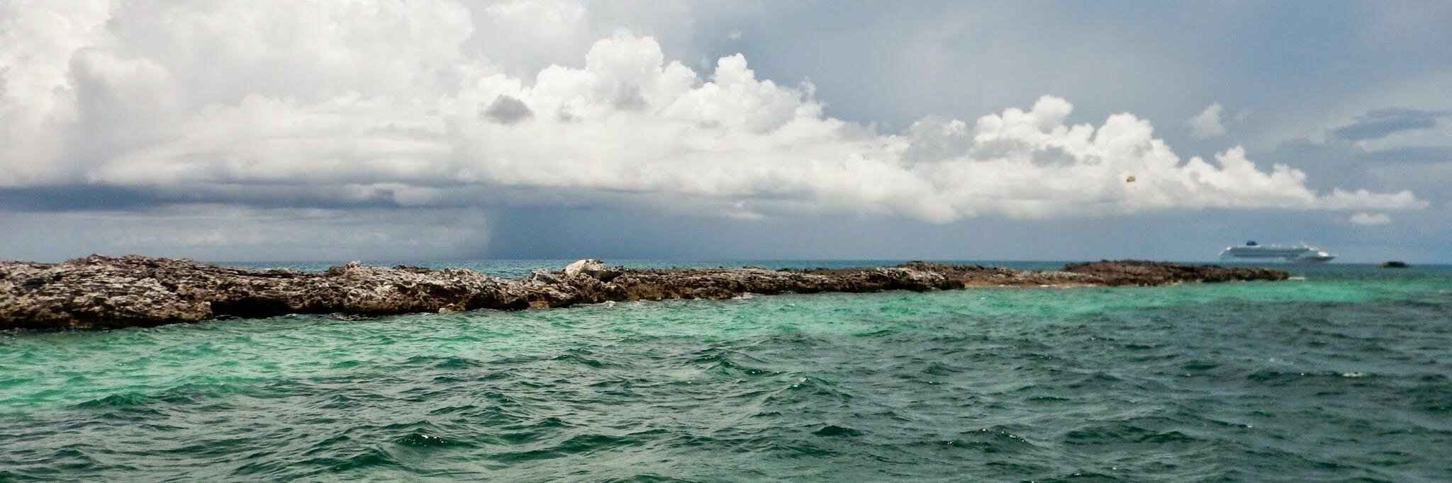 soniablue's profile banner image