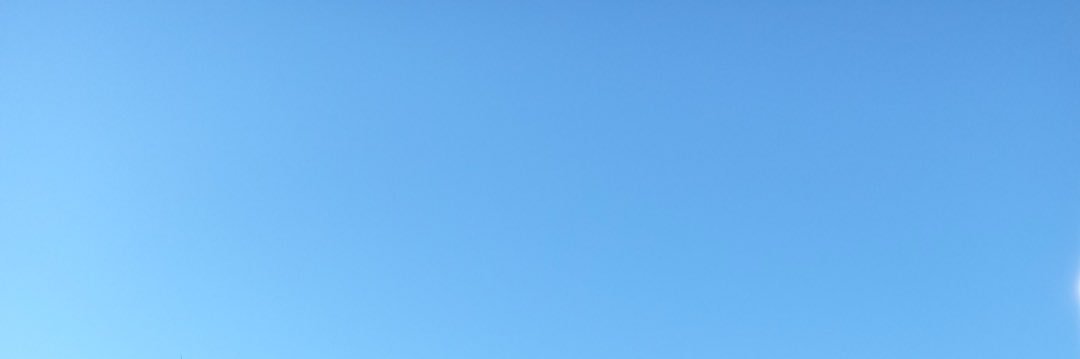 p_collector2's profile banner image