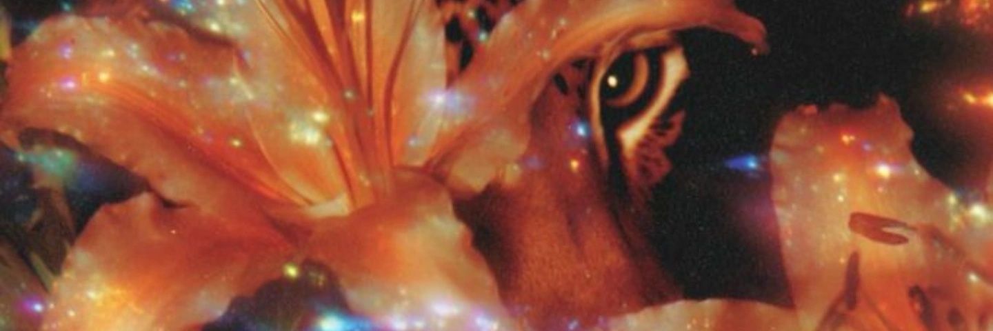 LCururus's profile banner image