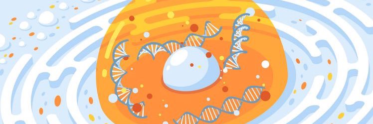 Nucleus the brains 🧠 banner