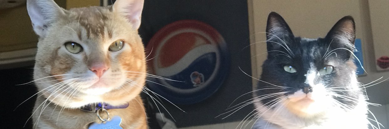 Franqituz's profile banner image