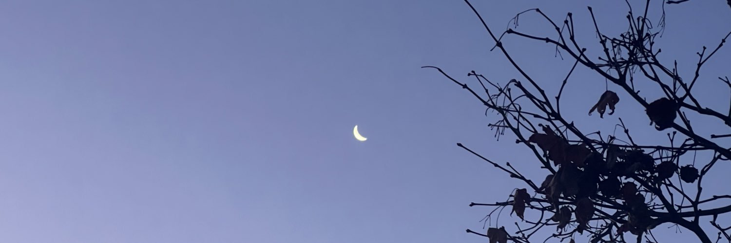 Venus 🌌🤓 | Celestial Cosmonerd banner