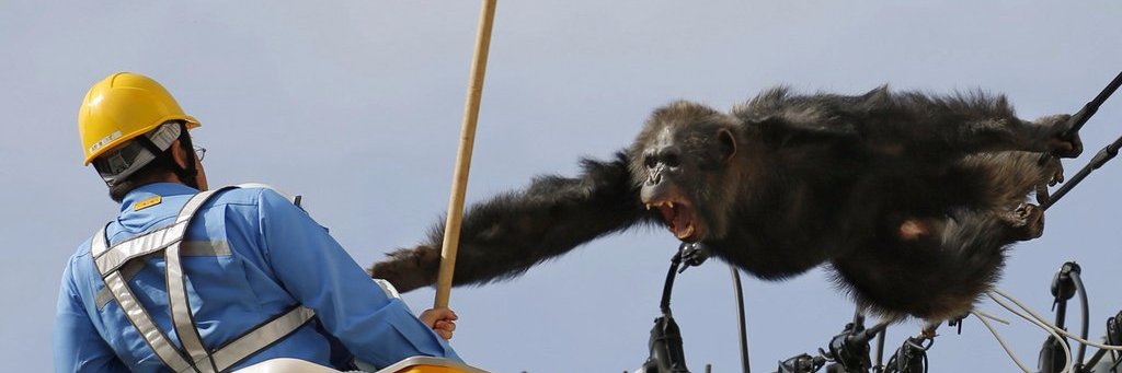 WatchPieter's profile banner image