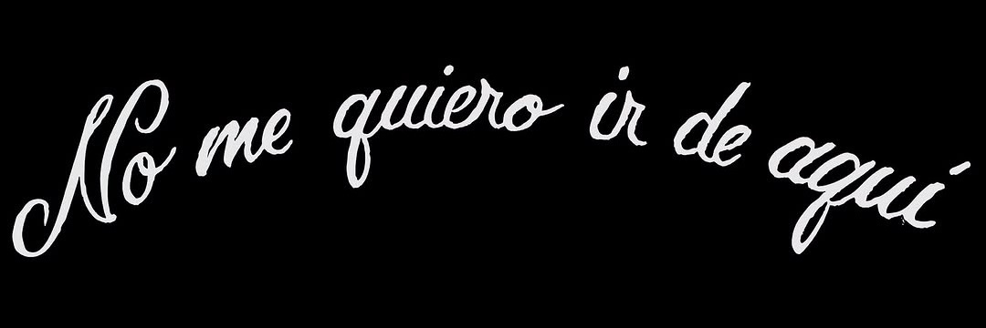 Alex Solis banner