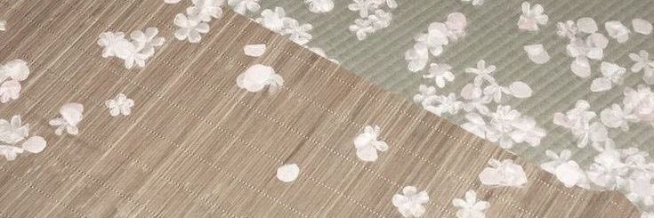 miadeathofme's profile banner image