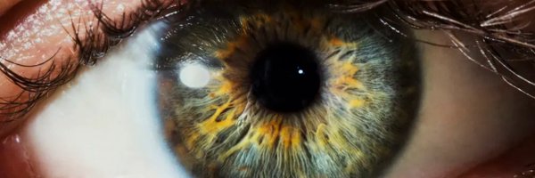 anonymousoneonx Profile Banner