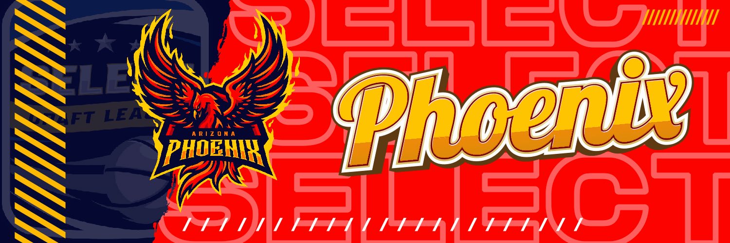 Arizona Phoenix 🦅 banner