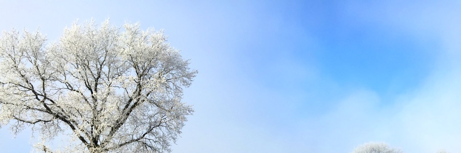 PaulyBicks's profile banner image