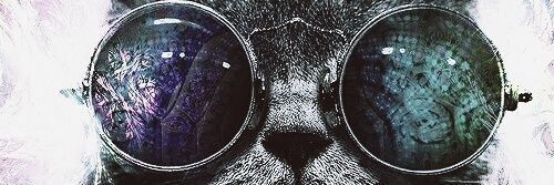 nfreitas80's profile banner image