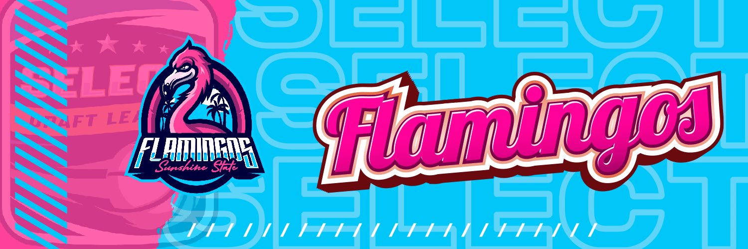 Sunshine Flamingos🦩 banner