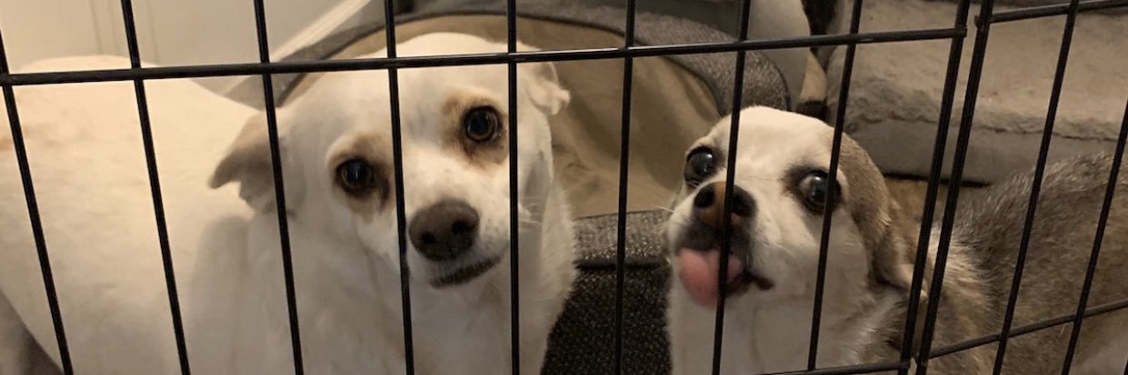 jodiggityy's profile banner image
