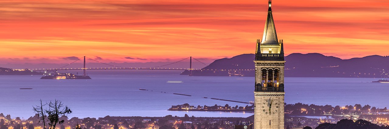 goldenbears's profile banner image